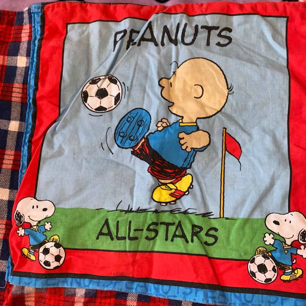 Peanuts Quilt - Picture 5 of 7